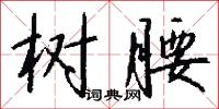 树腰怎么写好看