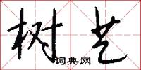 树艺怎么写好看