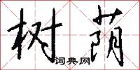 树荫怎么写好看