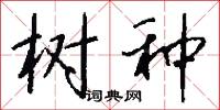树种怎么写好看