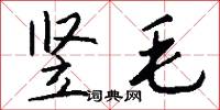 竖毛怎么写好看