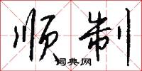 顺制怎么写好看