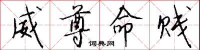 威尊命贱怎么写好看