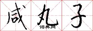 咸丸子怎么写好看