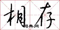 相存怎么写好看