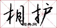 相护怎么写好看