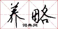 养略怎么写好看
