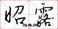 昭露怎么写好看