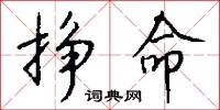 挣命怎么写好看