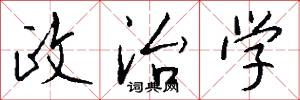 政治学怎么写好看