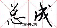 总成怎么写好看