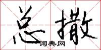 总撒怎么写好看