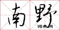 南野怎么写好看