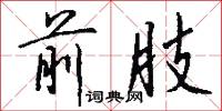 前肢怎么写好看