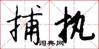 捕执怎么写好看