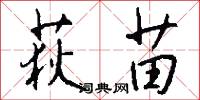 荻苗怎么写好看