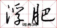 浮肥怎么写好看