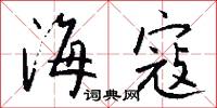 海寇怎么写好看