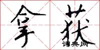 拿获怎么写好看