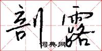 剖露怎么写好看