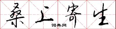 桑上寄生怎么写好看