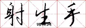 射生手怎么写好看