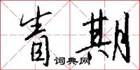 眚期怎么写好看