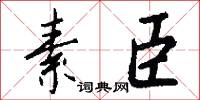 素臣怎么写好看