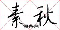 素秋怎么写好看