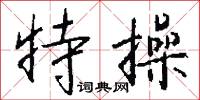 特操怎么写好看