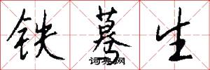铁蓦生怎么写好看