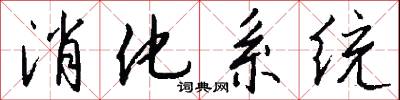 消化系统怎么写好看