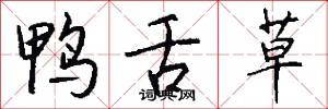 鸭舌草怎么写好看