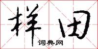 样田怎么写好看