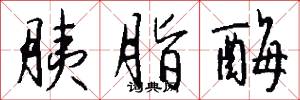 胰脂酶怎么写好看