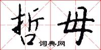 哲母怎么写好看