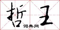 哲王怎么写好看