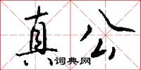 真公怎么写好看