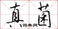 真菌怎么写好看