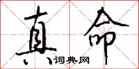 真命怎么写好看