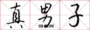 真男子怎么写好看