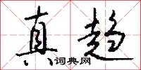 真趋怎么写好看