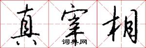 真宰相怎么写好看