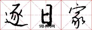 逐日家怎么写好看