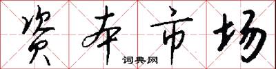 资本市场怎么写好看