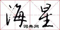 海星怎么写好看