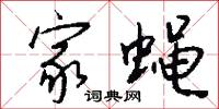 家蝇怎么写好看