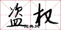 盗权怎么写好看