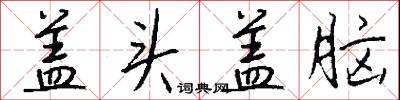 盖头盖脑怎么写好看