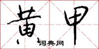 黄甲怎么写好看